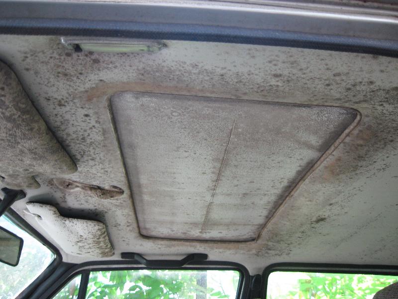 I want to see the nastiest, rustiest, crustiest